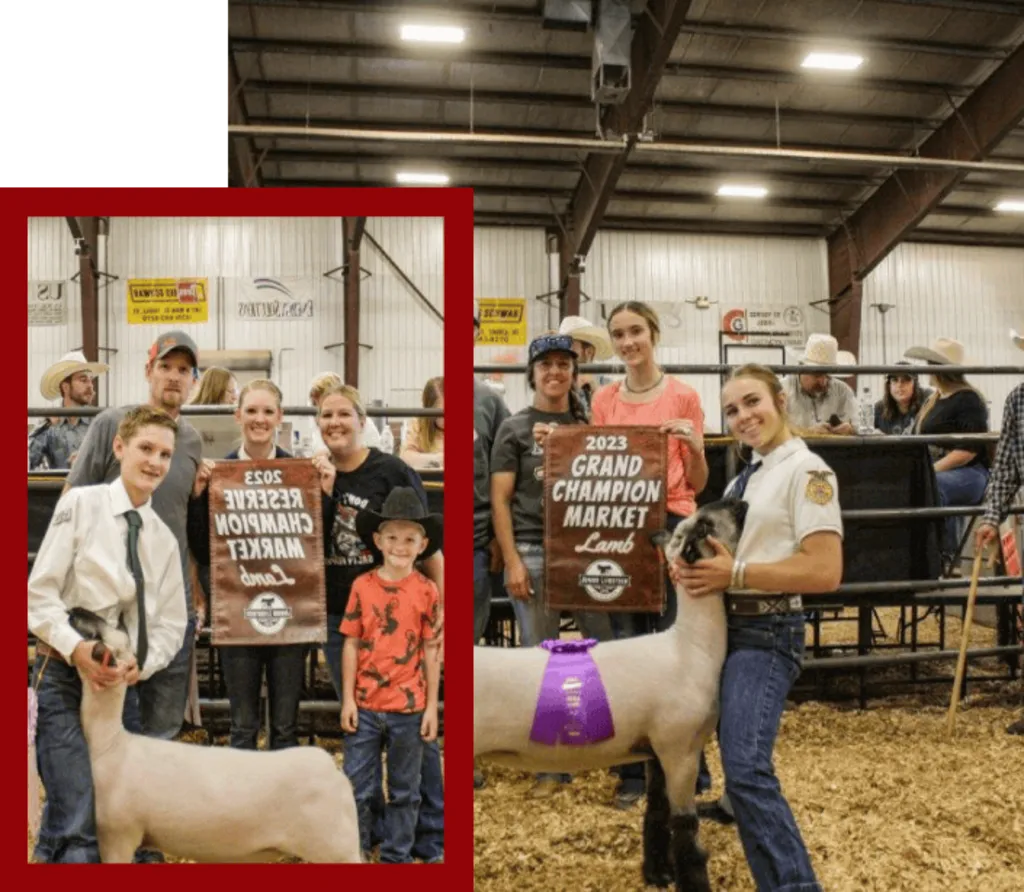 Tooele County Heritage Days