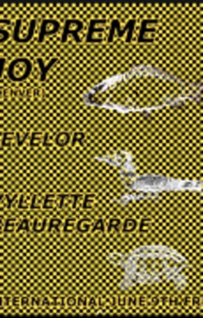 Concert: Supreme Joy & Levelor