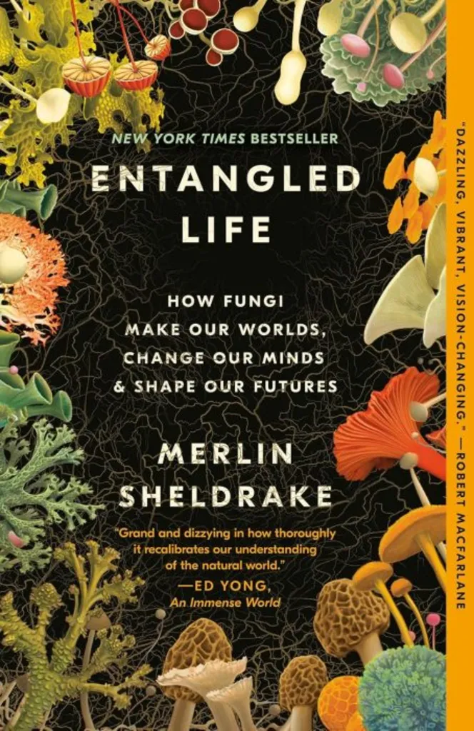 Currents of Knowledge Book Club