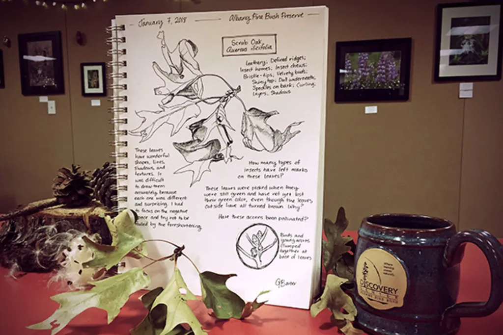 Nature Journaling- Let's Draw Butterflies!