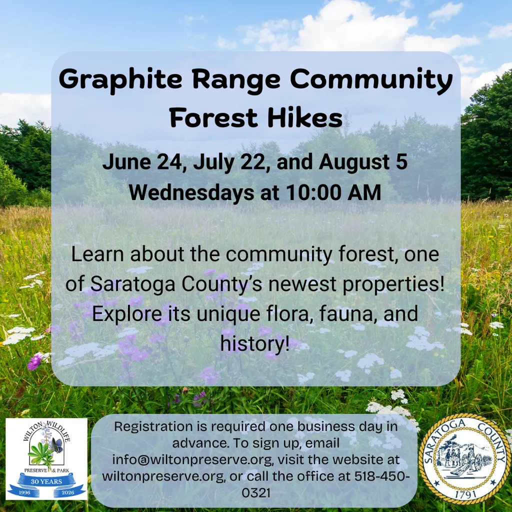 Graphite Range Forest Hike