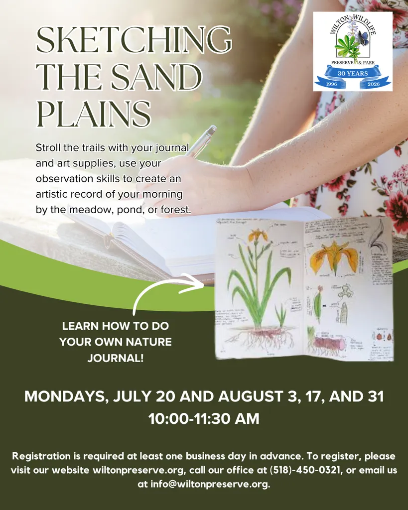 Sketching the Saratoga Sand Plains