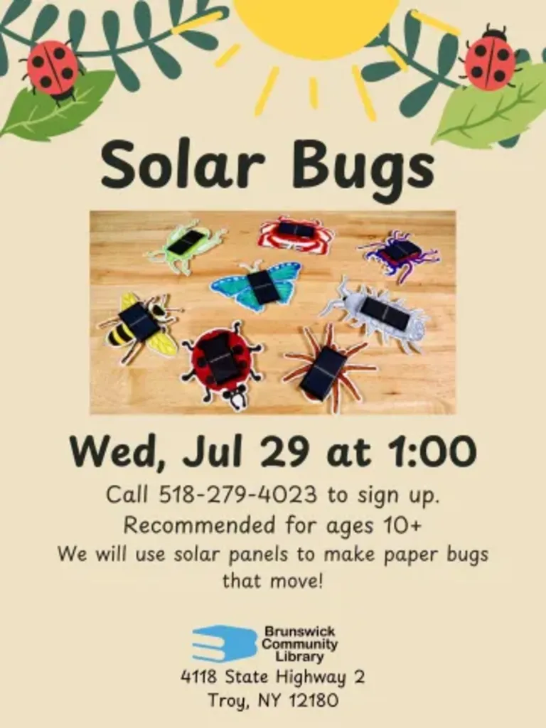 Solar Bugs
