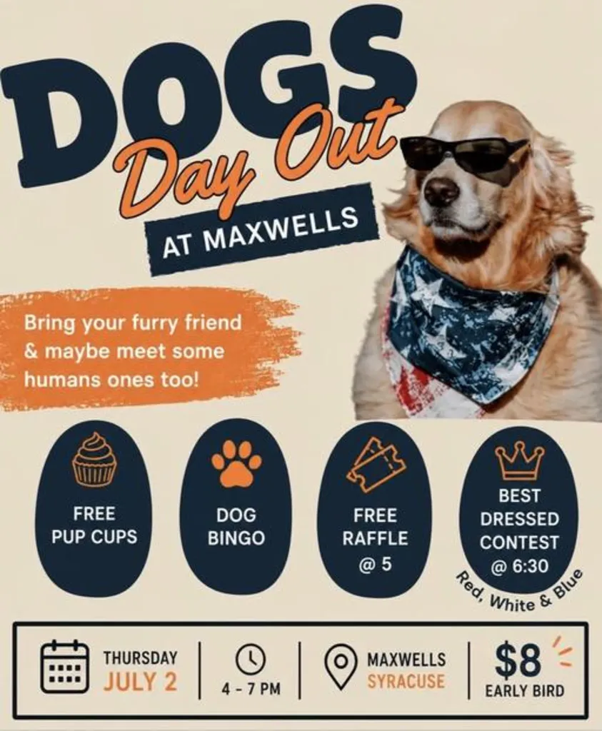 Dogs Day Out