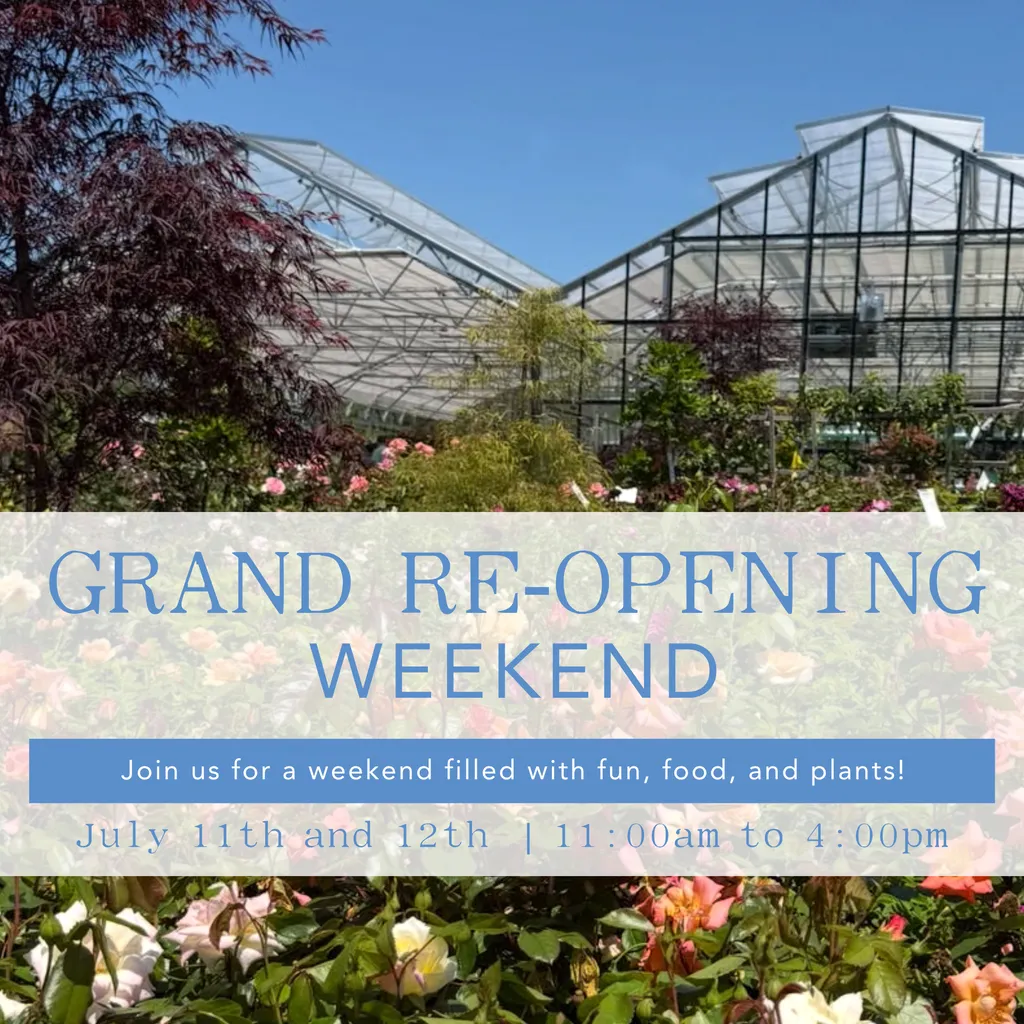 Grand Re-Opening Weekend – July 11th and 12th | 11:00 AM to 4:00 PM