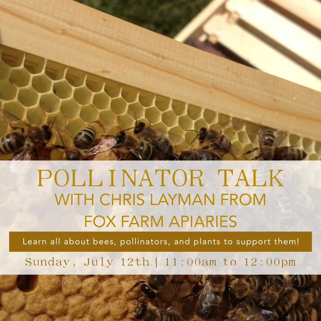 Pollinator Talk with Chris Layman – July 12th | 11:00 AM to 12:00 PM