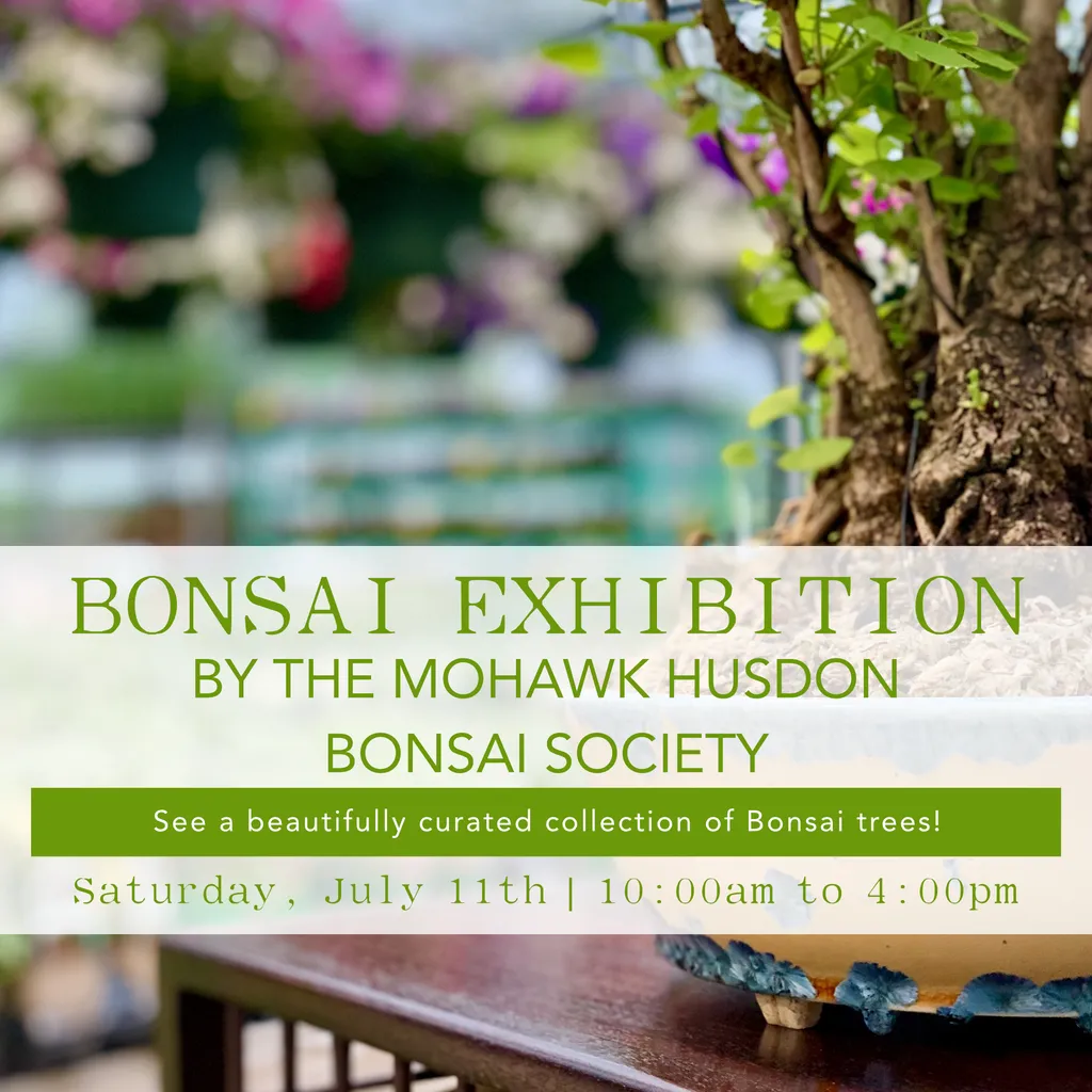 Mohawk Hudson Bonsai Society Exhibition – July 11th | 10:00 AM to 4:00 PM