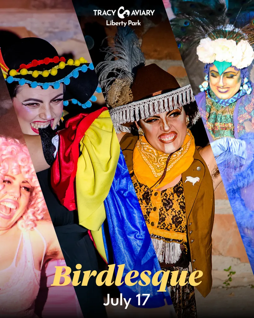 Birdlesque Summer 2026: Madazon’s Farewell