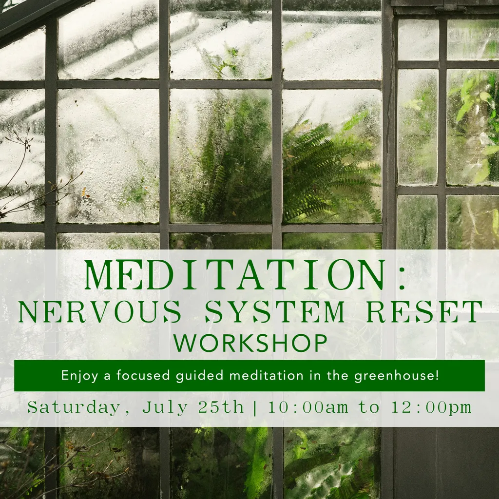 Nervous System Reset – July 25th | 10:00 AM to 12:00 PM