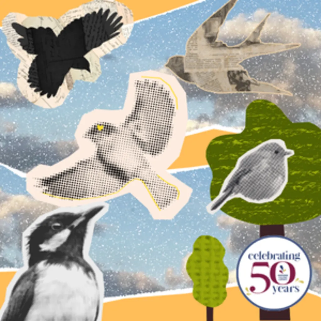 Bird Workshop