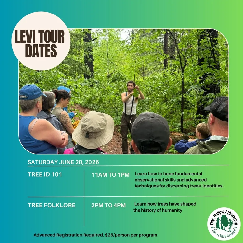 Levi O'Brien Tree Tours
