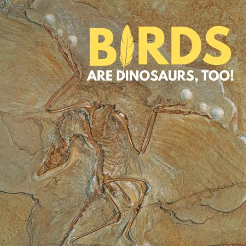 Birds Are Dinosaurs, Too!