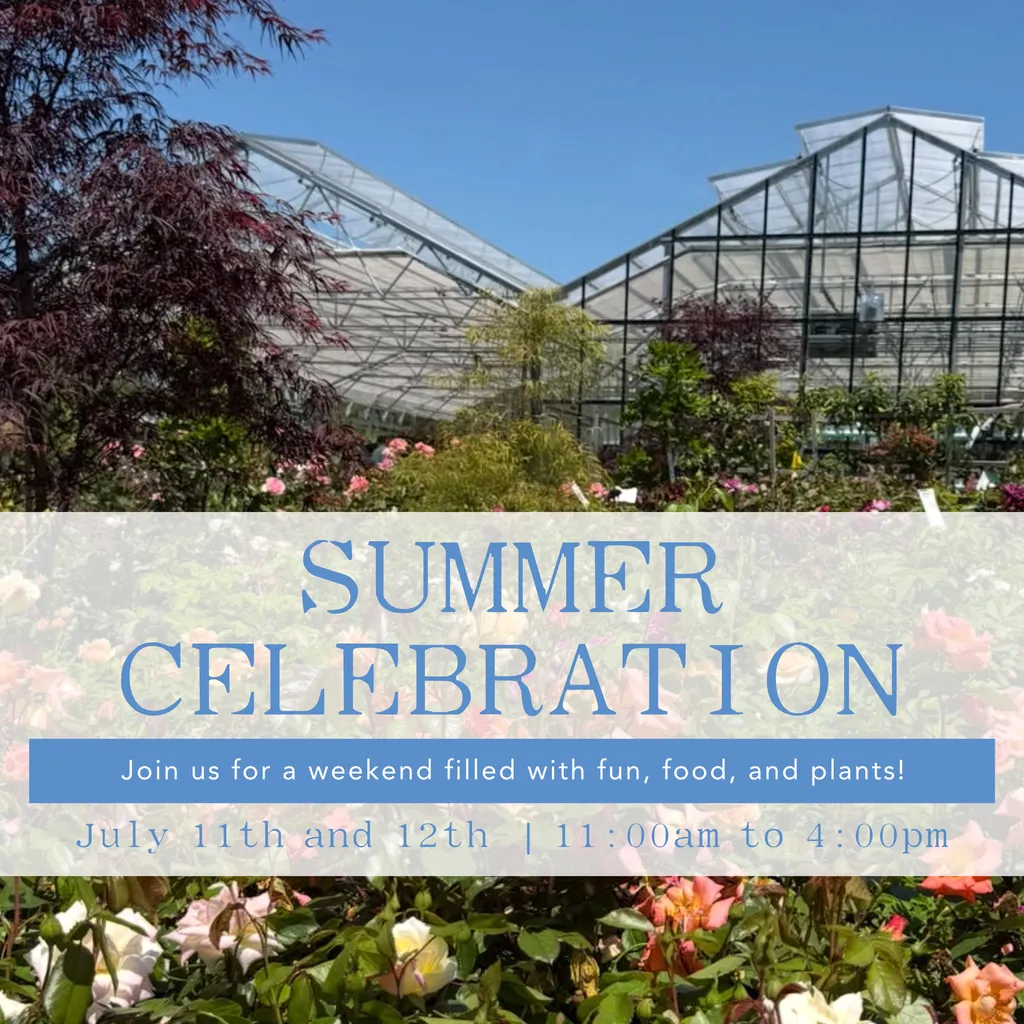 Summer Celebration – July 11th and 12th | 11:00 AM to 4:00 PM