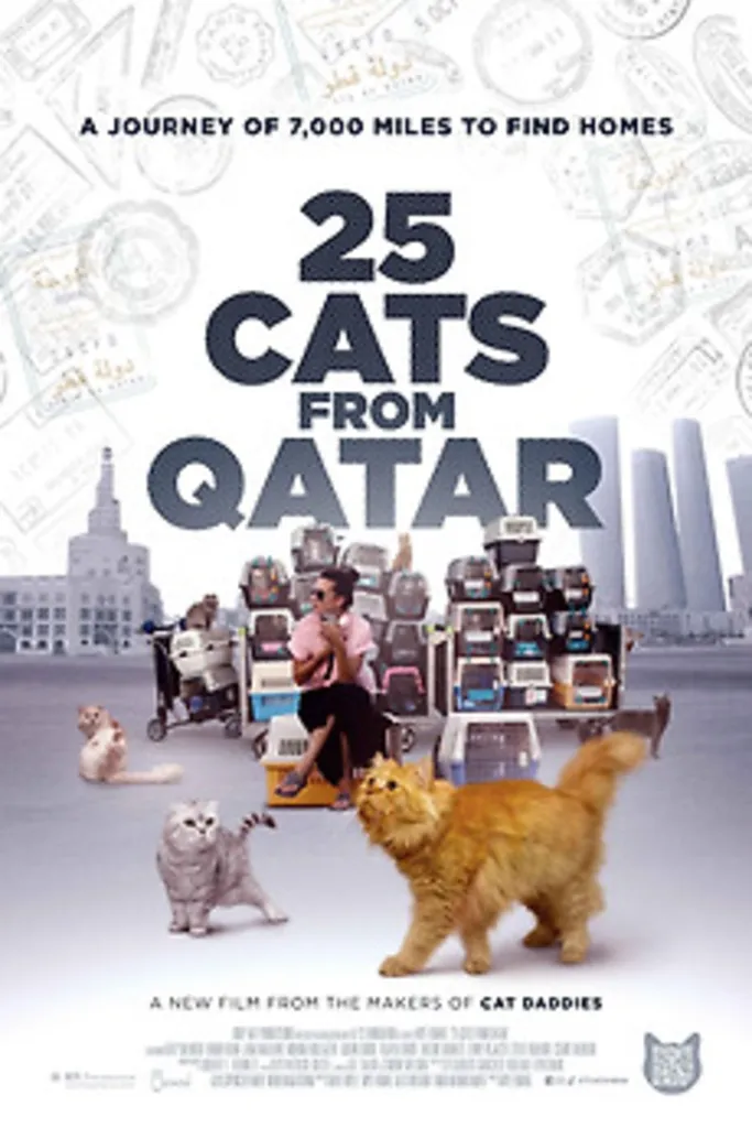Darn Good Docs – 25 Cats from Qatar