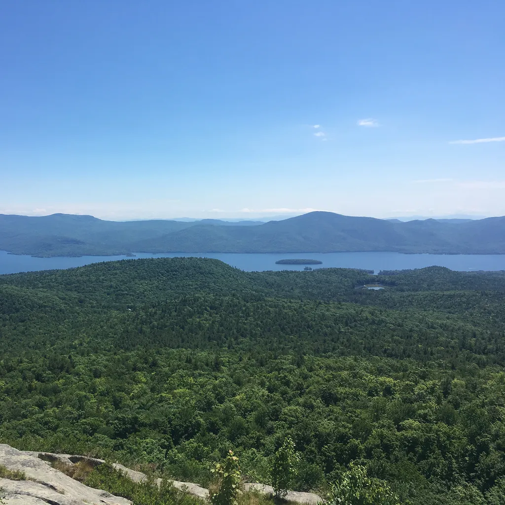 Discovery Series: Trees of the Lake George Watershed