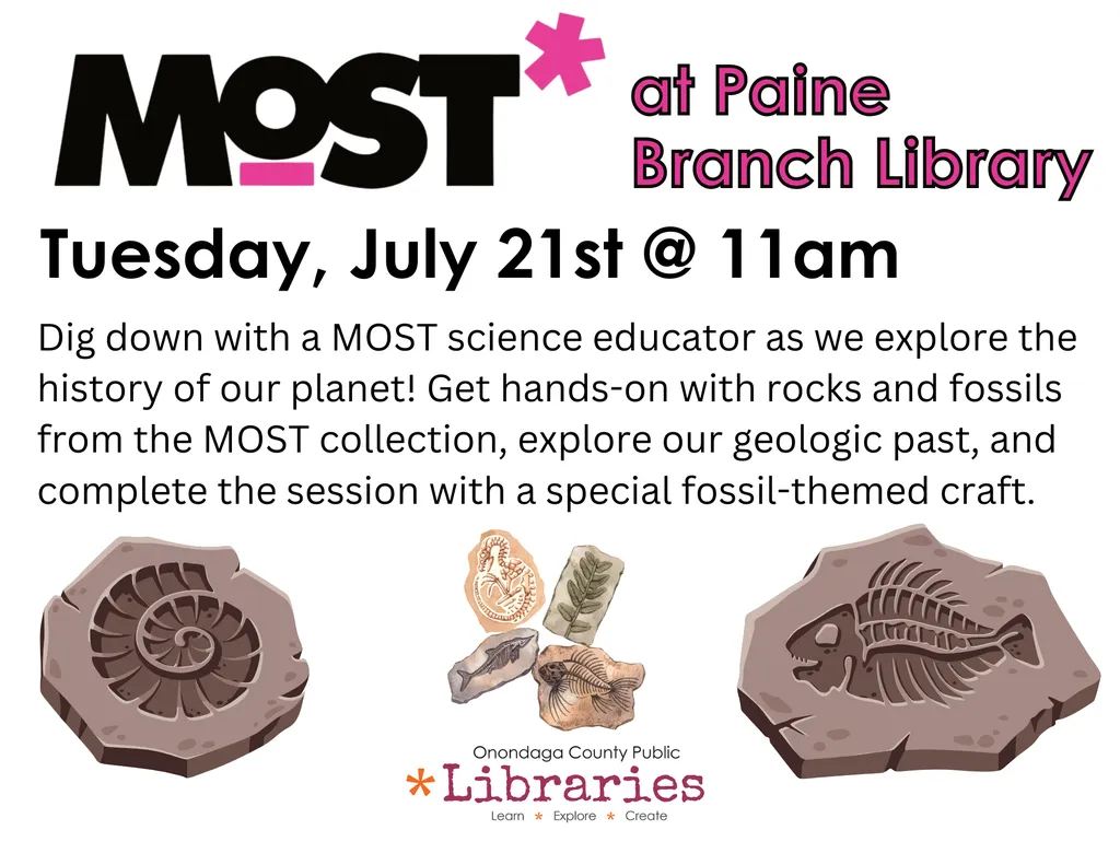 MoST Fossil Lab (Summer Reading) @ Paine