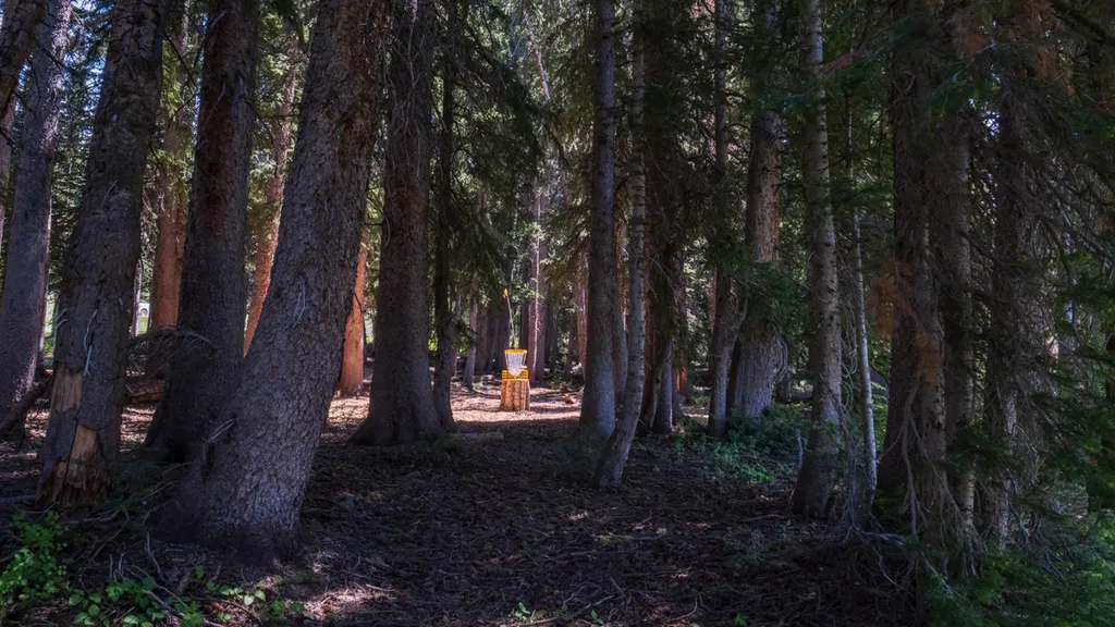 2026 US Women's Disc Golf Championship