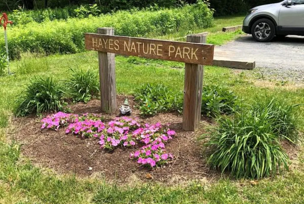 Guided Nature Walk: Hayes Nature Park