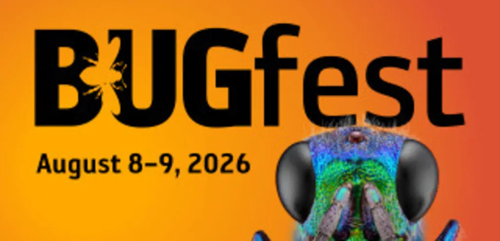 BugFest 2026: Sunday