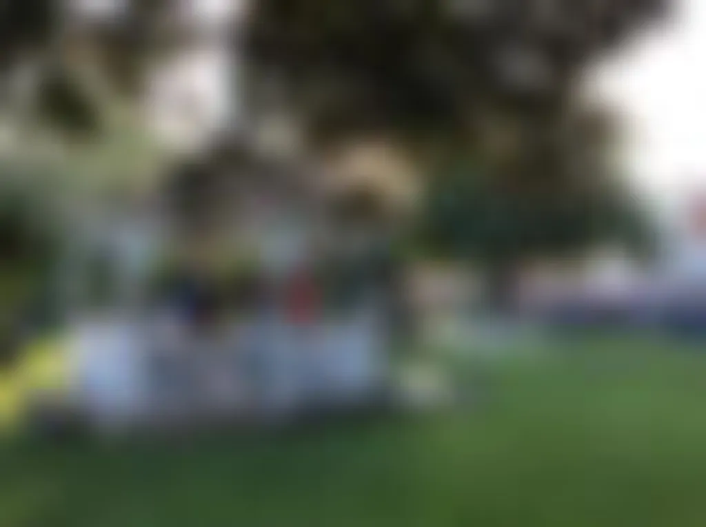 Cobleskill Arts in the Park: Rain Date
