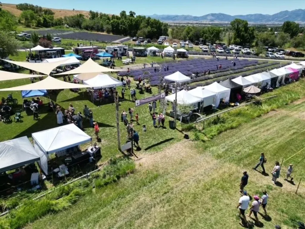 2026 Lavender Festival