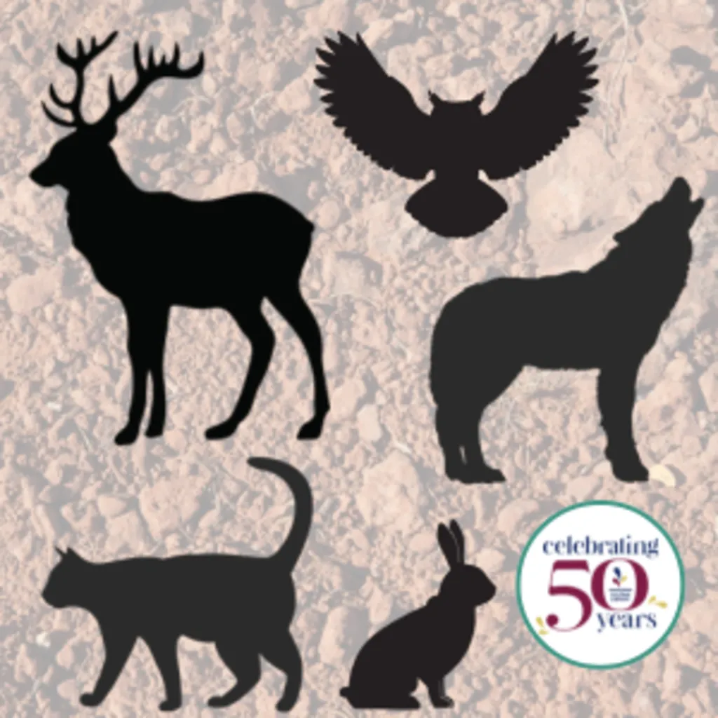 SCAT: The Amazing Science of Wildlife Poop