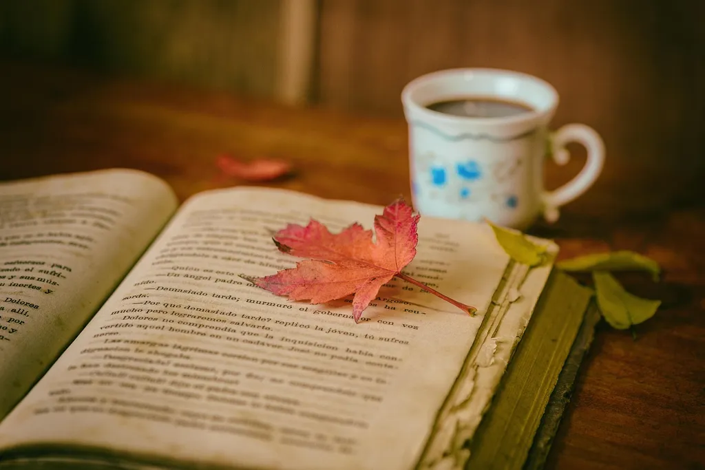 Silent Book Club @ Salt City Coffee In-Person