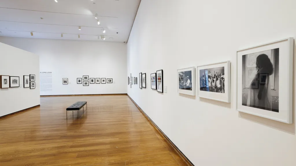 Curator’s Tour:A Long Look