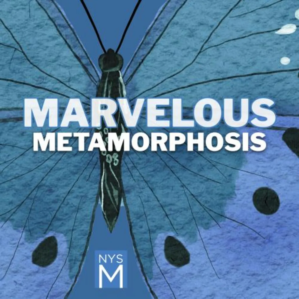 Marvelous Metamorphosis