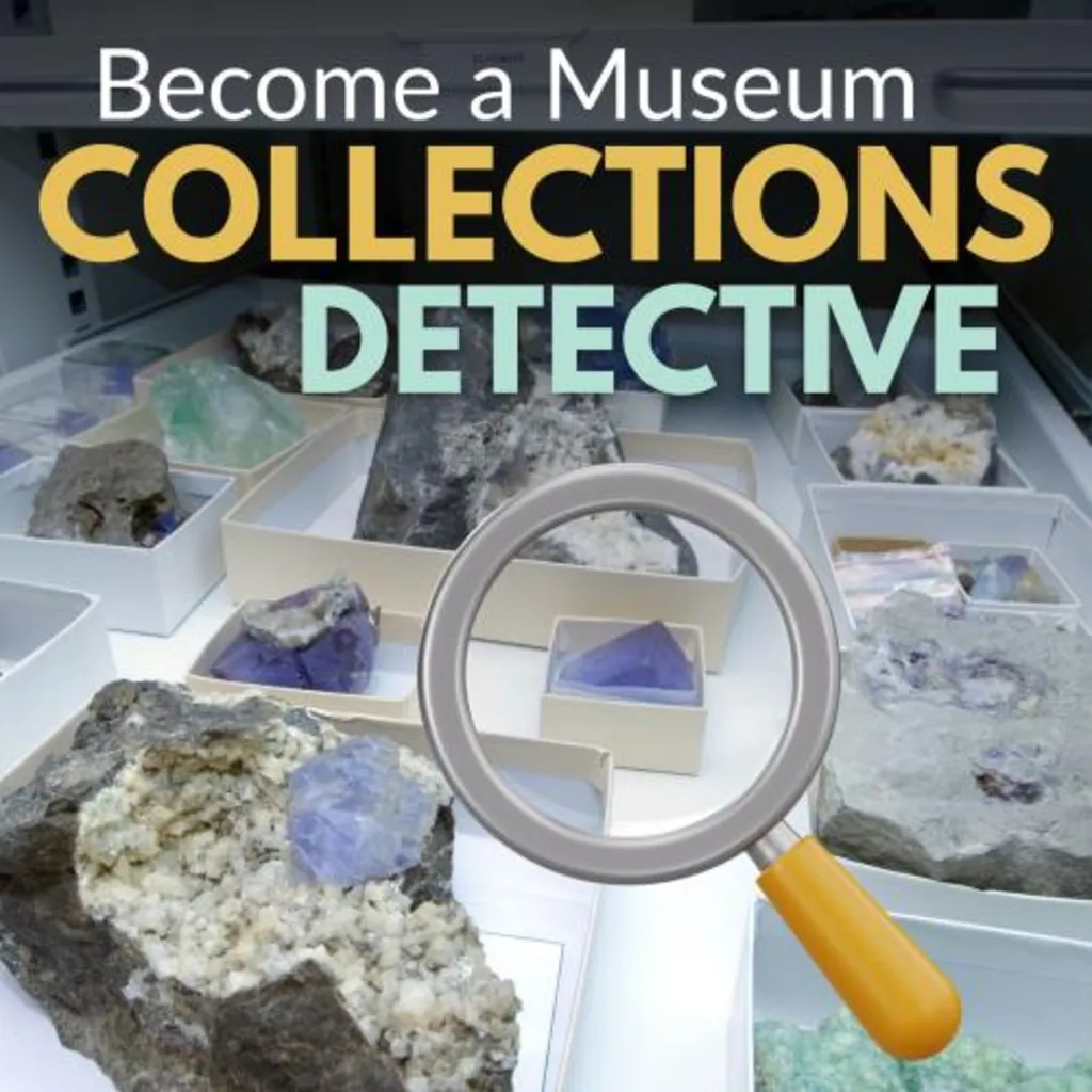 Become a Museum Collections Detective