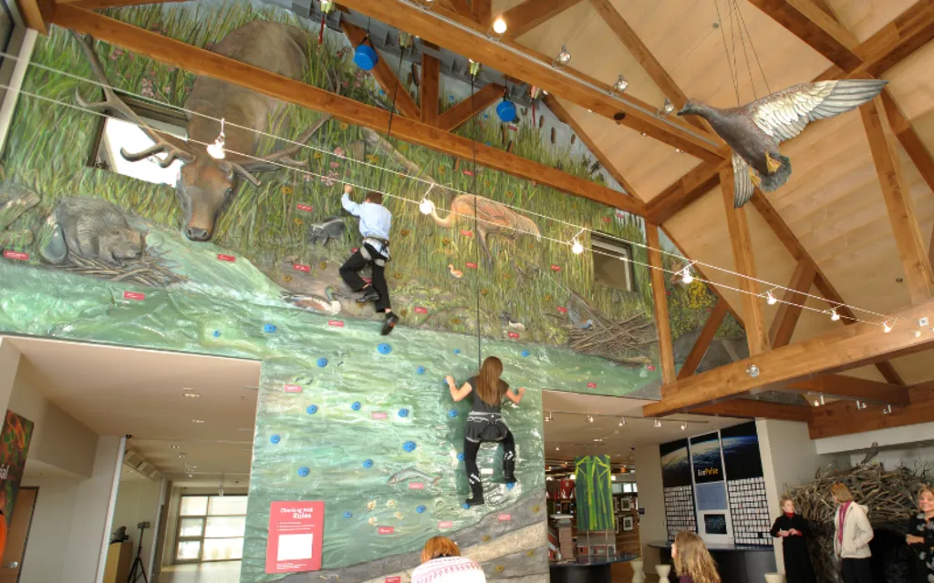 Wetland Climbing Wall