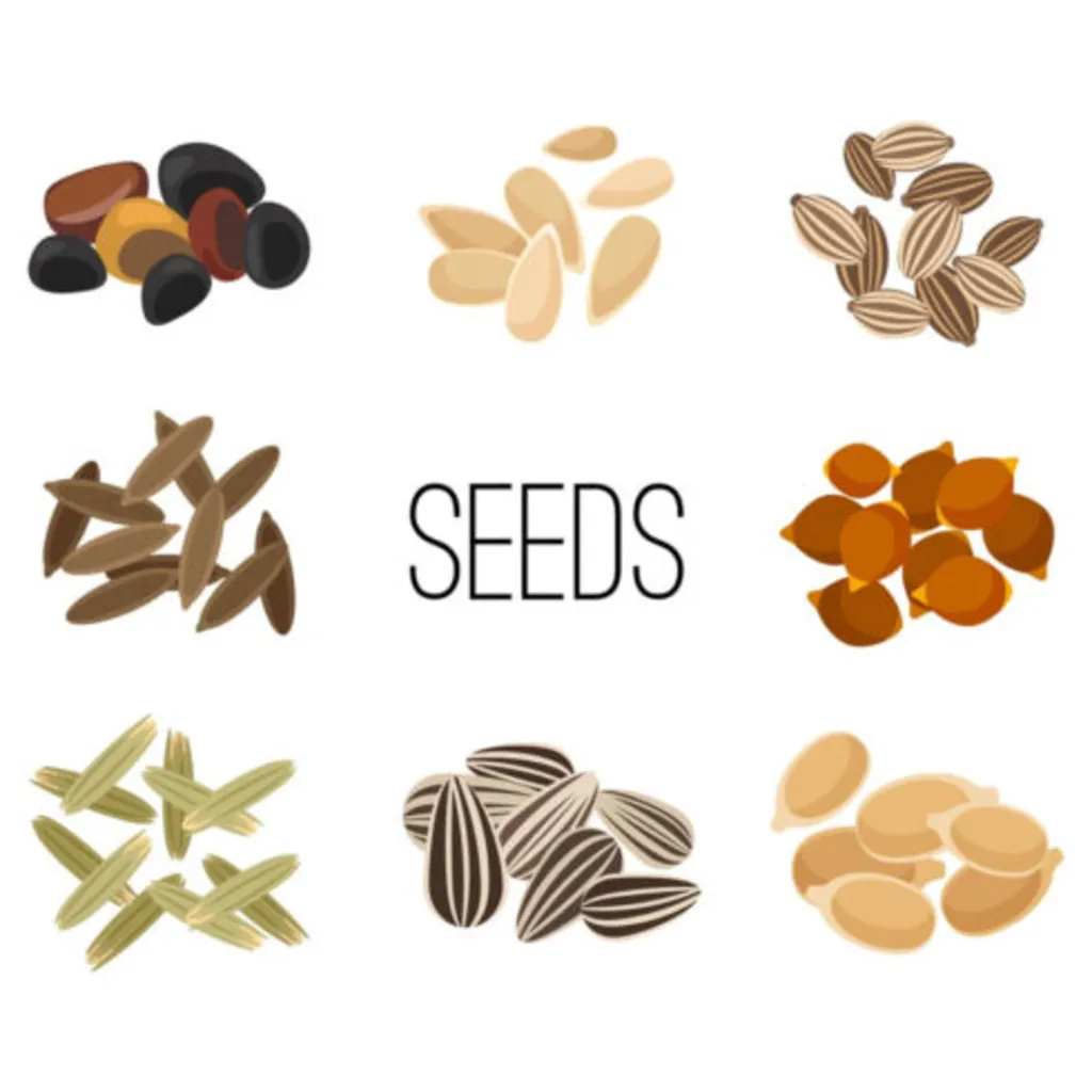 Seed Saving: informational talk