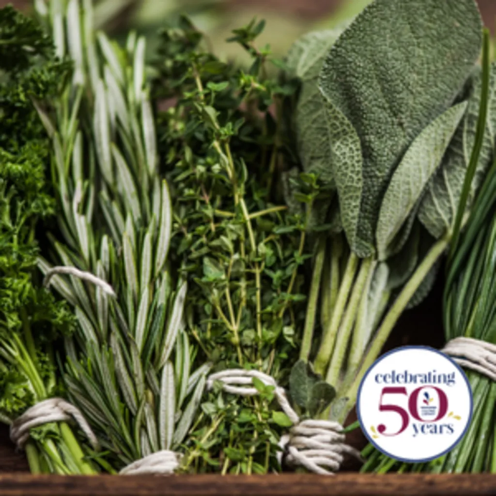 Growing, Using and Storing Fresh Herbs