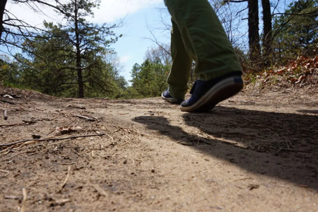 Lunchtime Hike