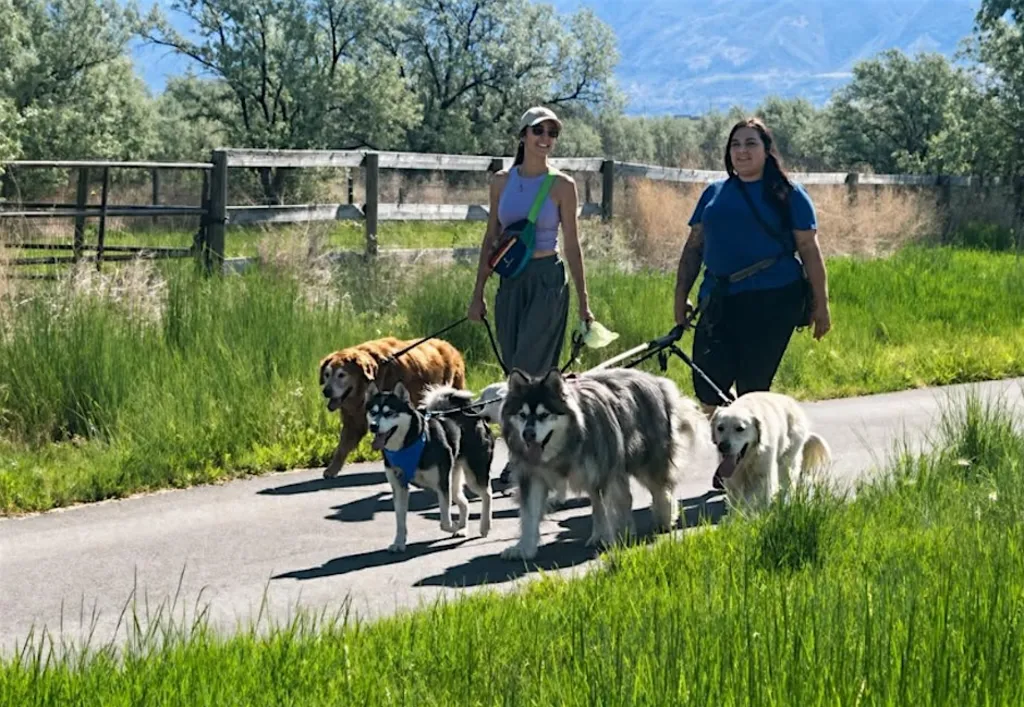 Paws & Petals - Community Dog Walking Event