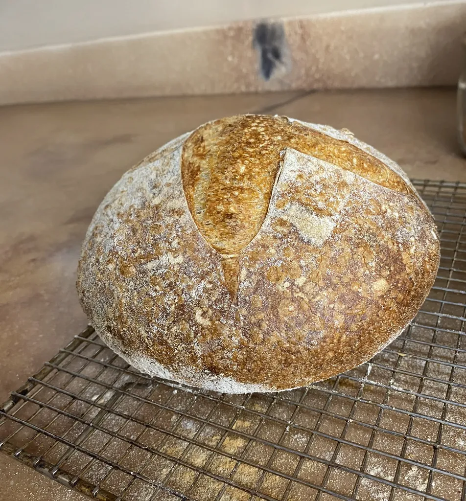 Hands On Sourdough Bread Class Sep 26th 10am