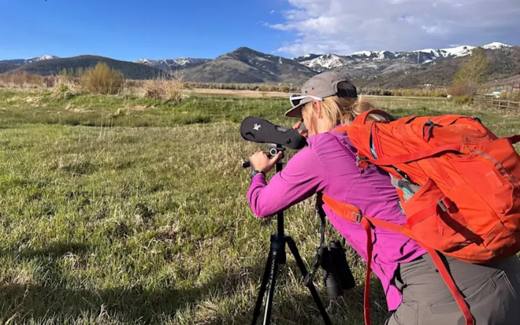 Fall Avian Adventures III