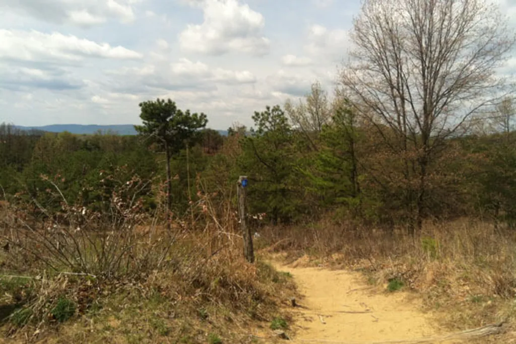Discover the Pine Bush at Karner Barrens