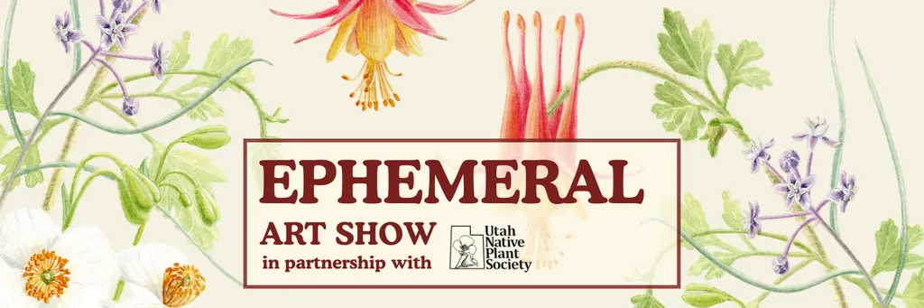 Ephemeral Opening Celebration
