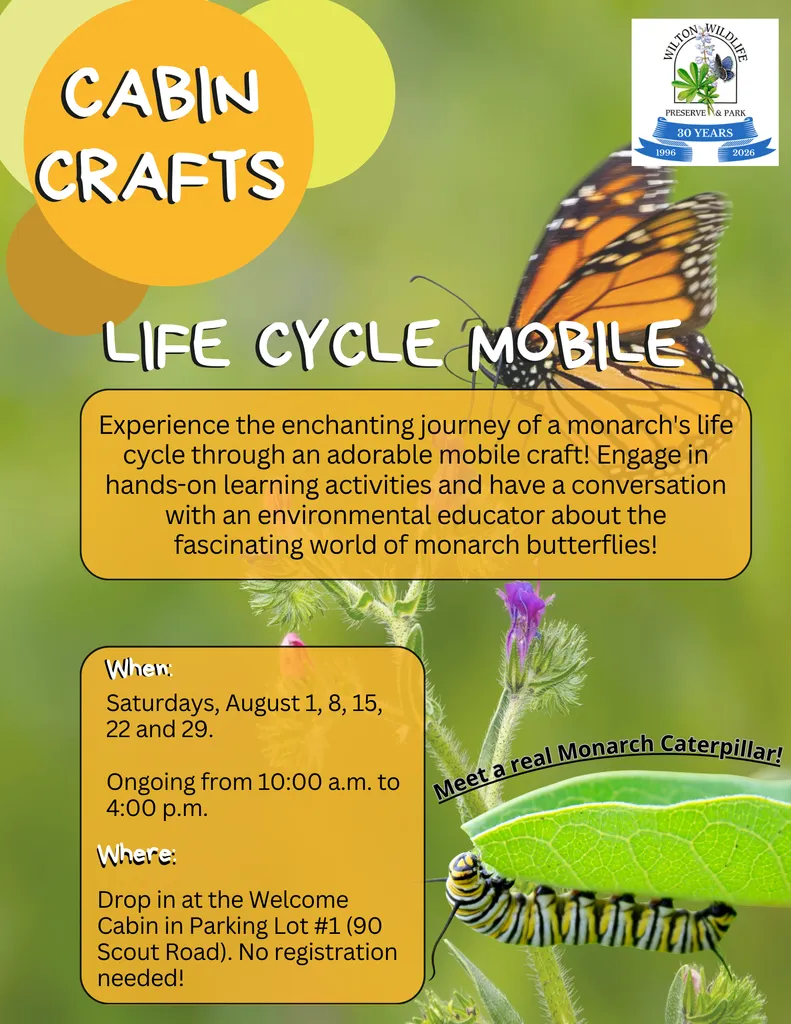 Cabin Crafts | Monarch Butterfly Life Cycle Mobile