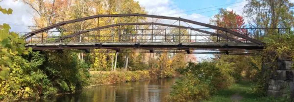 Guided Nature Walk: Vischer Ferry Nature Preserve