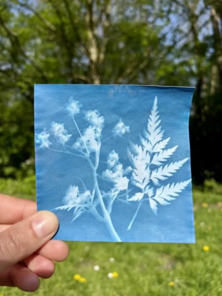 Teen Make & Sip: Create a Cyanotype Print