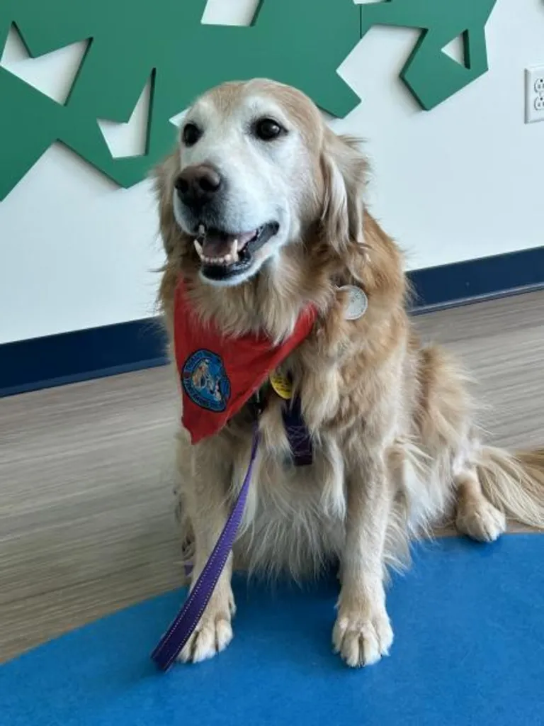 Remembering Your Good Dog with Peggy Frezon
