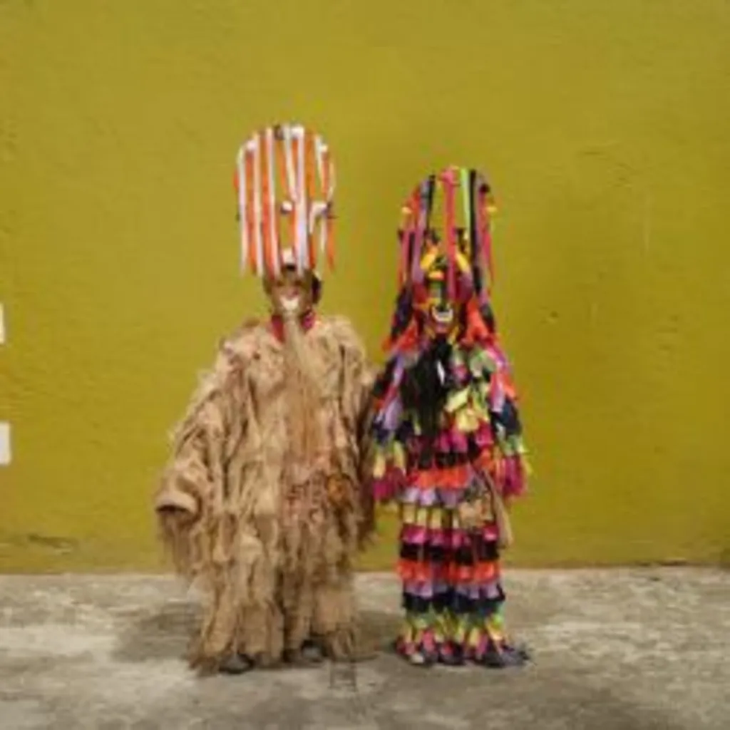 Artist Talk: Phyllis Galembo