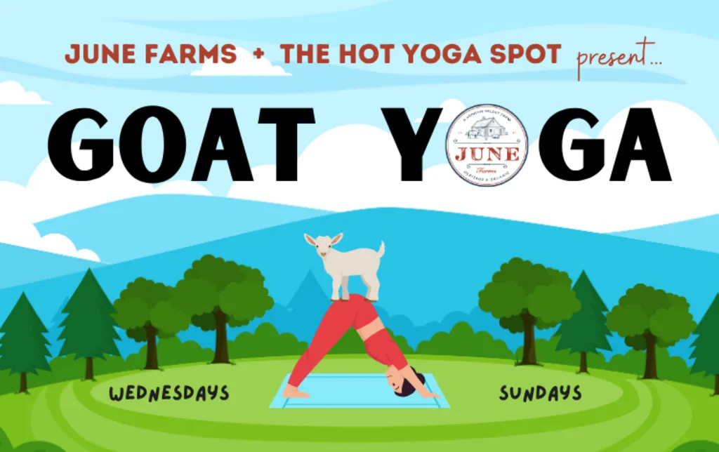 Goat Yoga