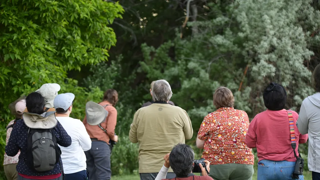 Bird Walks at the Butte