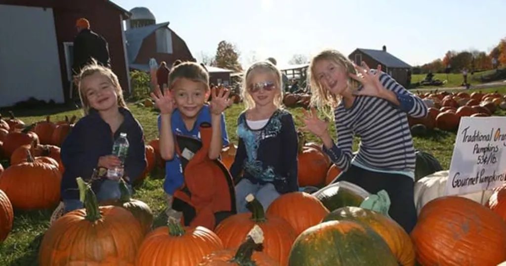 Clifton Park Farm Fest