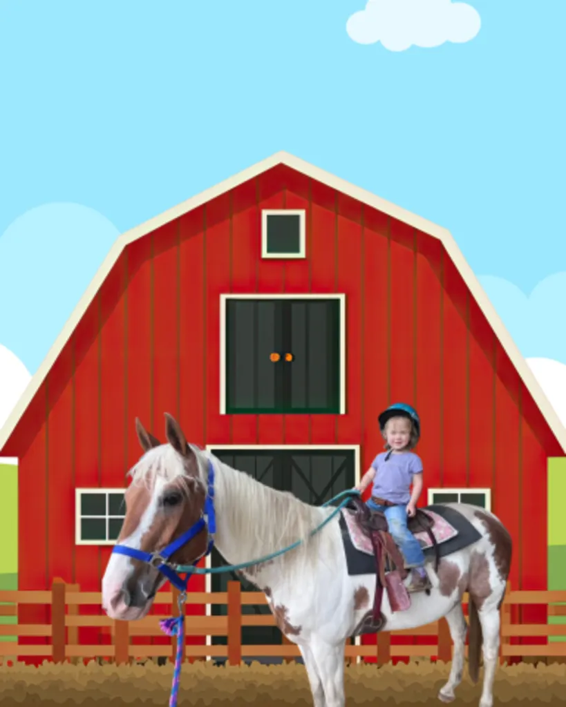 Meet the Horses!