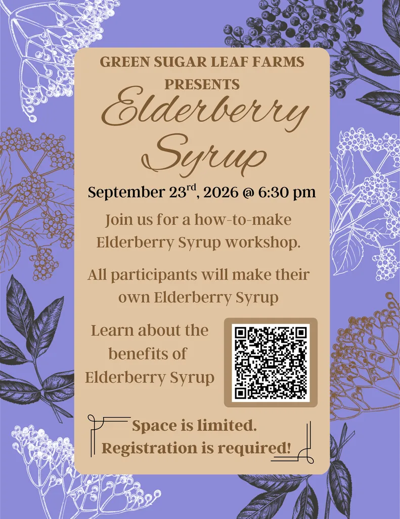Elderberry Syrup