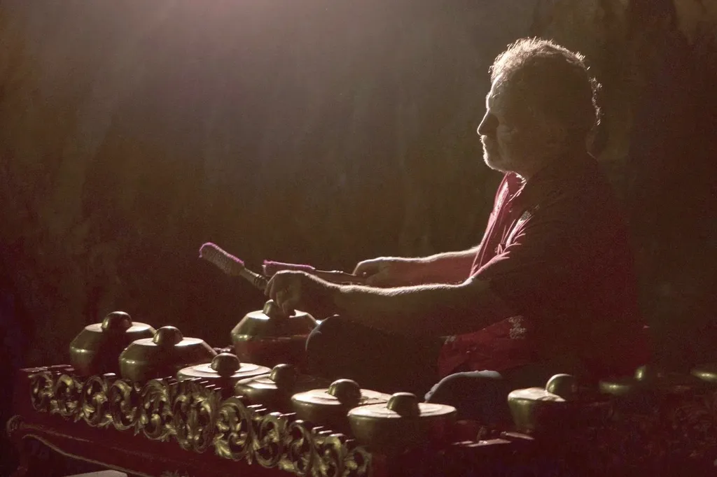 Accordion in the Trees: Peter Wetzler